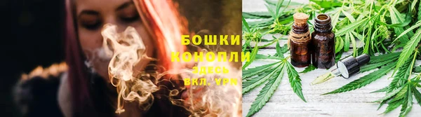мяу мяу мука Волоколамск