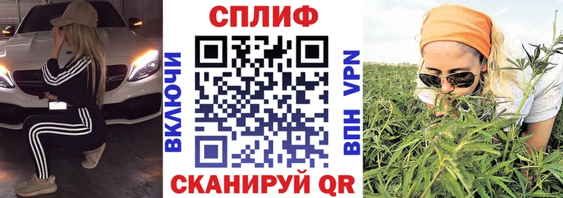 Бошки Шишки MAZAR  Эртиль 